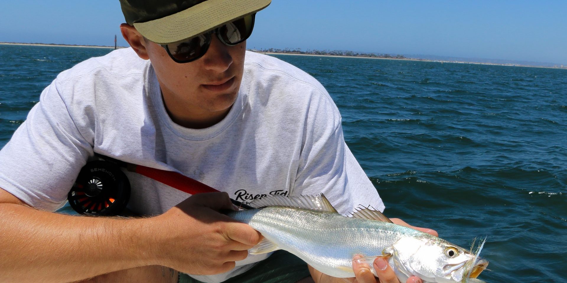 San Diego Bay Fishing Report 6/4-6/10 | Risen Tide ...