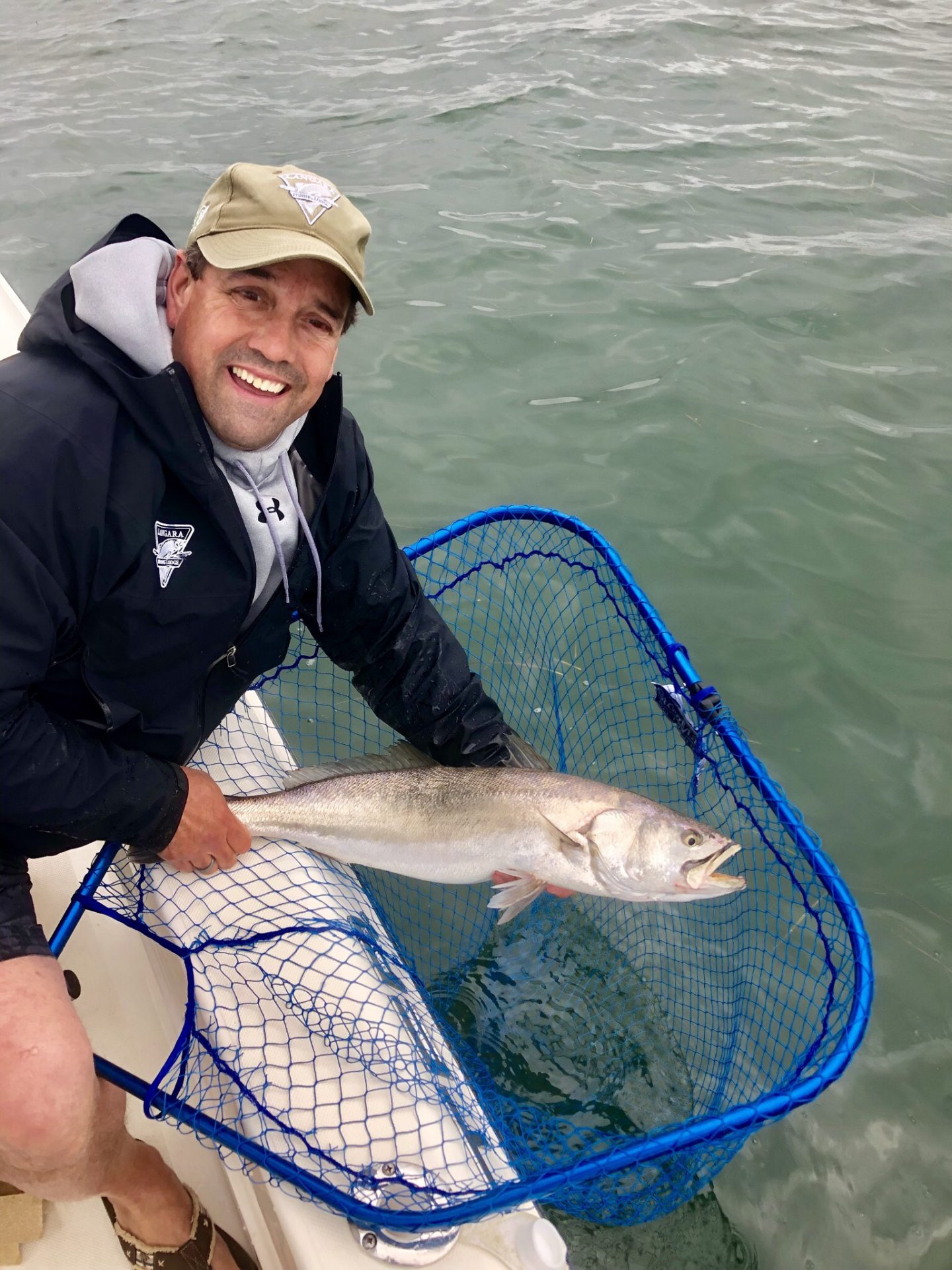 San Diego Bay Fishing Report | Spring 2019 | Risen Tide Sportfishing